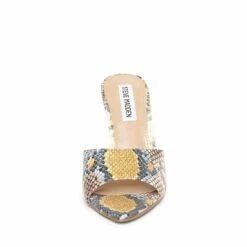 Budget 🌟 Coupon 👏 SteveMadden FEISTY SNAKE ⭐ 🤩 -Steve Madden Shoes For Women Shop STEVEMADDEN DRESS FEISTY SNAKE FRONT