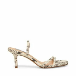 Top 10 🛒 Wholesale 😀 SteveMadden LOFT BEIGE SNAKE 🔔 😍 -Steve Madden Shoes For Women Shop STEVEMADDEN DRESS LOFT BEIGE SNAKE SIDE 2