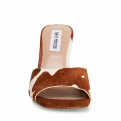 Best Pirce 😉 Hot Sale ❤️ SteveMadden SIGNAL BROWN/TAN 🛒 🛒 -Steve Madden Shoes For Women Shop STEVEMADDEN DRESS SIGNAL BROWN COW FRONT
