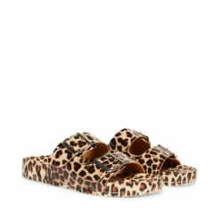 Flash Sale 🛒 Budget ✨ SteveMadden TEDDY-T LEOPARD 🎁 ⌛ -Steve Madden Shoes For Women Shop STEVEMADDEN MADDEN GIRL TEDDY P LEOPARD