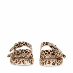 Flash Sale 🛒 Budget ✨ SteveMadden TEDDY-T LEOPARD 🎁 ⌛ -Steve Madden Shoes For Women Shop STEVEMADDEN MADDEN GIRL TEDDY P LEOPARD FRONT