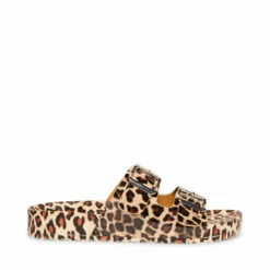 Flash Sale 🛒 Budget ✨ SteveMadden TEDDY-T LEOPARD 🎁 ⌛ -Steve Madden Shoes For Women Shop STEVEMADDEN MADDEN GIRL TEDDY P LEOPARD SIDE