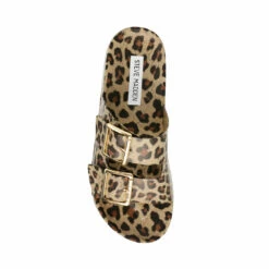 Top 10 😍 Buy 🌟 SteveMadden EVANNE LEOPARD ⌛ 👍 -Steve Madden Shoes For Women Shop STEVEMADDEN SANDALS EVANNE NEW LEOPARD TOP