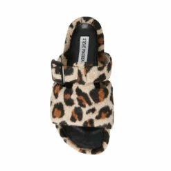 Cheapest ❤️ Coupon 🎁 SteveMadden RIZZLE LEOPARD 🧨 🎉 -Steve Madden Shoes For Women Shop STEVEMADDEN SANDALS RIZZLE LEOPARD TOP
