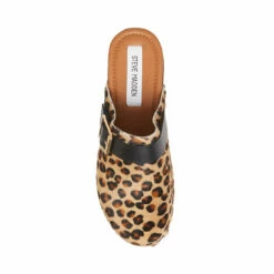 Hot Sale ๐ฅฐ Flash Sale ๐ SteveMadden DANA-P LEOPARD ๐ ๐ 12 Hot Sale ๐ฅฐ Flash Sale ๐ SteveMadden DANA-P LEOPARD ๐ ๐ -Steve Madden Shoes For Women Shop STEVEMADDEN SHOES DANA P LEOPARD TOP