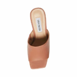 Outlet 🧨 Cheapest 🌟 SteveMadden DEDICATE BLUSH LEATHER ✔️ ✨ -Steve Madden Shoes For Women Shop STEVEMADDEN SHOES DEDICATE BLUSH TOP