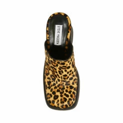 Promo 🌟 Wholesale 😍 SteveMadden KAM LEOPARD ✨ 😍 -Steve Madden Shoes For Women Shop STEVEMADDEN SHOES KAM LEOPARD TOP