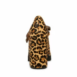 Best reviews of ๐ Best Sale ๐ SteveMadden TWICE-P LEOPARD ๐ โ 23 Best reviews of ๐ Best Sale ๐ SteveMadden TWICE-P LEOPARD ๐ โ -Steve Madden Shoes For Women Shop STEVEMADDEN SHOES TWICE P LEOPARD BACK