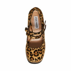 Best reviews of ๐ Best Sale ๐ SteveMadden TWICE-P LEOPARD ๐ โ 22 Best reviews of ๐ Best Sale ๐ SteveMadden TWICE-P LEOPARD ๐ โ -Steve Madden Shoes For Women Shop STEVEMADDEN SHOES TWICE P LEOPARD TOP