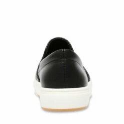Best Sale ๐ Buy ๐คฉ SteveMadden COULTER-Q BLACK ๐ ๐ 12 Best Sale ๐ Buy ๐คฉ SteveMadden COULTER-Q BLACK ๐ ๐ -Steve Madden Shoes For Women Shop STEVEMADDEN SNEAKERS COULTER Q BLACK BACK