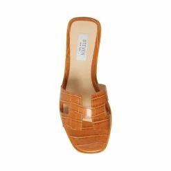 Cheap ⌛ Hot Sale ✔️ SteveMadden HADYN COGNAC MULTI 🔔 🎉 -Steve Madden Shoes For Women Shop STEVEMADDEN STEVEN HADYN COGNAC CROCO TOP