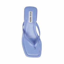 Coupon 🧨 Hot Sale 💯 SteveMadden CLAUDETTE PERIWINKLE 👍 😉 -Steve Madden Shoes For Women Shop STEVEMADDEN SHOES CLAUDETTE PERRIWINKLE TOP