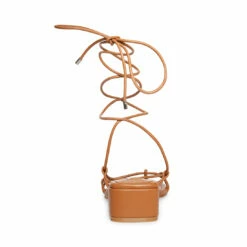 Top 10 🌟 Outlet 🧨 SteveMadden CLAREMONT DARK TAN ❤️ 🔥 -Steve Madden Shoes For Women Shop STEVEMADDEN SHOES CLAUS BROWN BACK