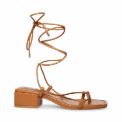 Top 10 🌟 Outlet 🧨 SteveMadden CLAREMONT DARK TAN ❤️ 🔥 -Steve Madden Shoes For Women Shop STEVEMADDEN SHOES CLAUS BROWN SIDE 2