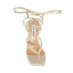 Brand new ๐ Best deal โ๏ธ SteveMadden FERNANDA BONE PATENT โค๏ธ โจ 11 Brand new ๐ Best deal โ๏ธ SteveMadden FERNANDA BONE PATENT โค๏ธ โจ -Steve Madden Shoes For Women Shop STEVEMADDEN SHOES FERNANDA BONE PATENT BACK