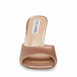 Discount ๐ Budget โ SteveMadden MOLLY DARK TAN ๐ โ 11 Discount ๐ Budget โ SteveMadden MOLLY DARK TAN ๐ โ -Steve Madden Shoes For Women Shop STEVEMADDEN SHOES MOLLY DARK TAN FRONT